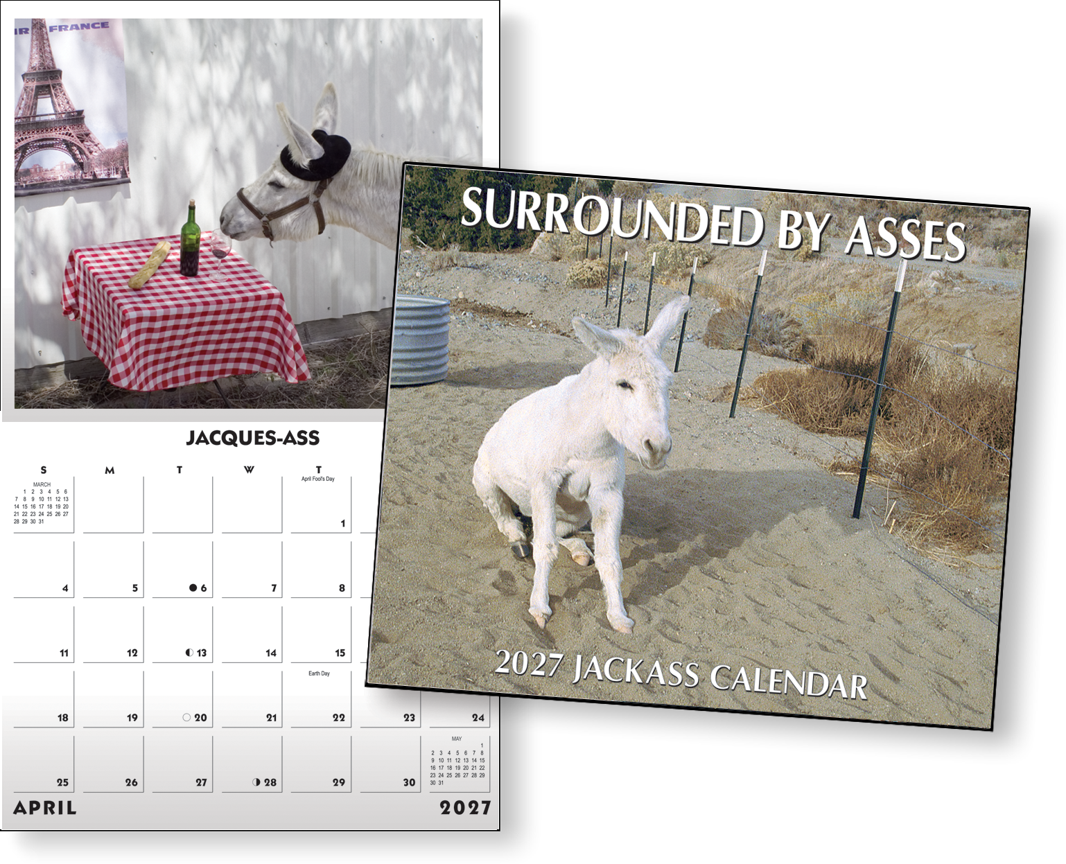 Surrounded By Asses - 

    2027

 Jackass Calendar